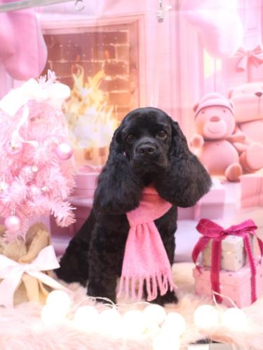 20241204そらくん